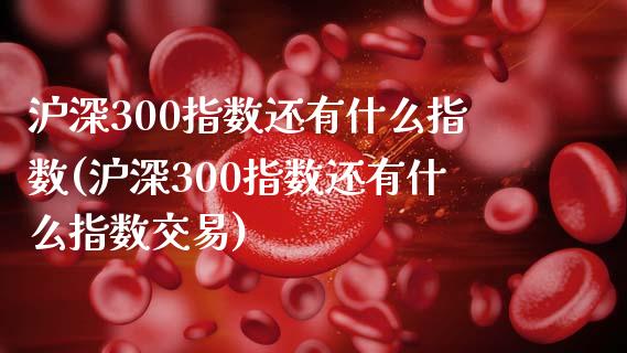 沪深300指数还有什么指数(沪深300指数还有什么指数交易)_https://www.yunyouns.com_期货行情_第1张