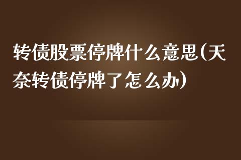 转债股票停牌什么意思(天奈转债停牌了怎么办)_https://www.yunyouns.com_股指期货_第1张