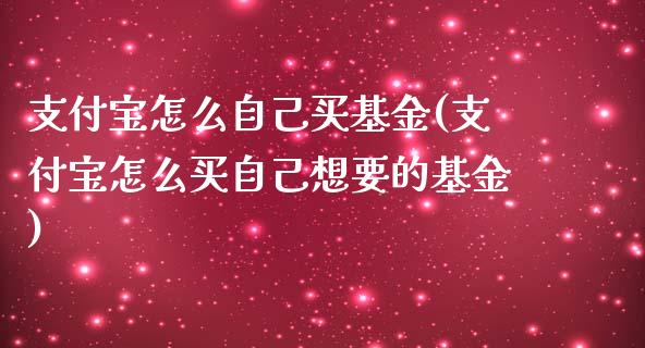 支付宝怎么自己买基金(支付宝怎么买自己想要的基金)_https://www.yunyouns.com_股指期货_第1张