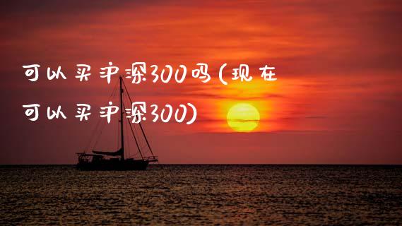 可以买沪深300吗(现在可以买沪深300)_https://www.yunyouns.com_期货行情_第1张