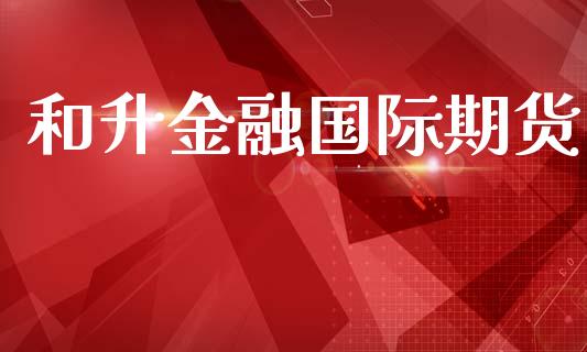 和升金融国际期货_https://www.yunyouns.com_期货直播_第1张