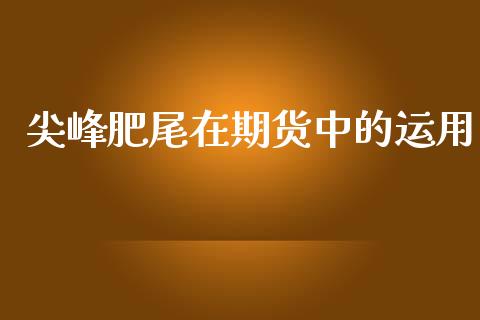 尖峰肥尾在期货中的运用_https://www.yunyouns.com_期货直播_第1张