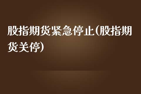 股指期货紧急停止(股指期货关停)_https://www.yunyouns.com_股指期货_第1张