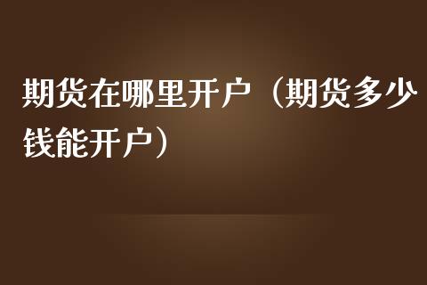 期货在哪里开户（期货多少钱能开户）_https://www.yunyouns.com_期货直播_第1张