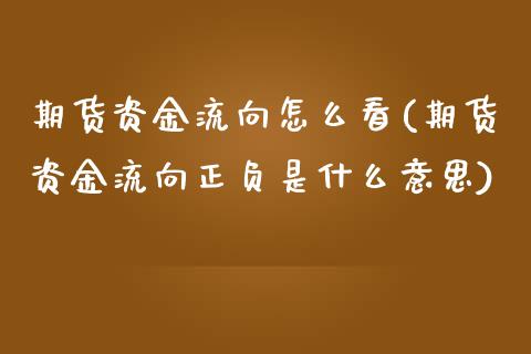 期货资金流向怎么看(期货资金流向正负是什么意思)_https://www.yunyouns.com_期货直播_第1张