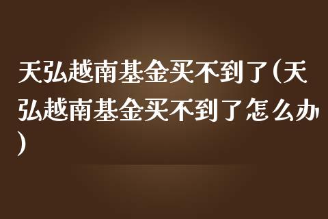 天弘越南基金买不到了(天弘越南基金买不到了怎么办)_https://www.yunyouns.com_恒生指数_第1张