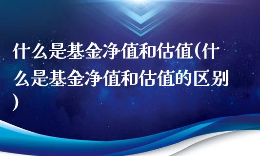 什么是基金净值和估值(什么是基金净值和估值的区别)_https://www.yunyouns.com_恒生指数_第1张