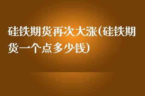 硅铁期货再次大涨(硅铁期货一个点多少钱)_https://www.yunyouns.com_期货直播_第1张