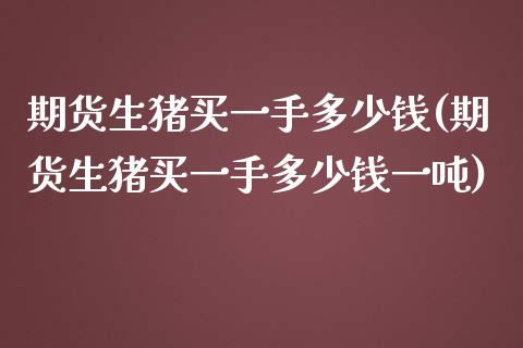 期货生猪买一手多少钱(期货生猪买一手多少钱一吨)_https://www.yunyouns.com_恒生指数_第1张