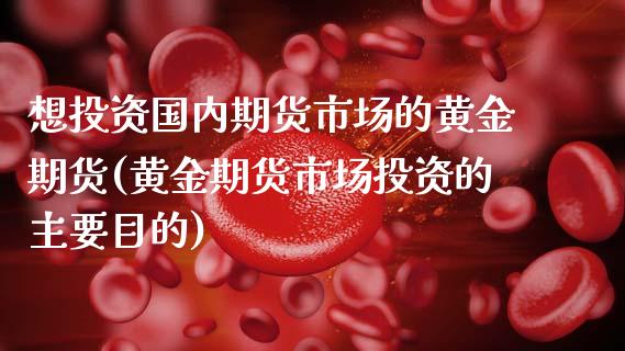 想投资国内期货市场的黄金期货(黄金期货市场投资的主要目的)_https://www.yunyouns.com_股指期货_第1张