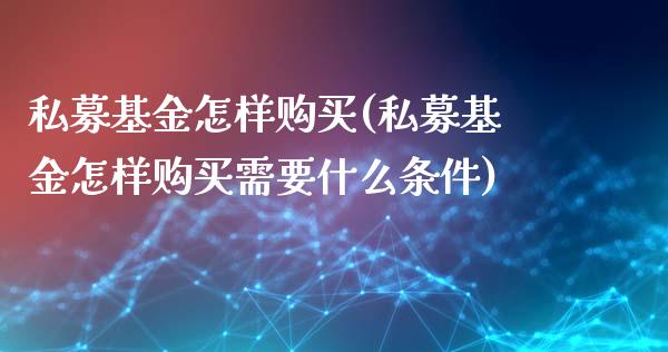 私募基金怎样购买(私募基金怎样购买需要什么条件)_https://www.yunyouns.com_股指期货_第1张