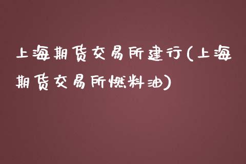 上海期货交易所建行(上海期货交易所燃料油)_https://www.yunyouns.com_股指期货_第1张