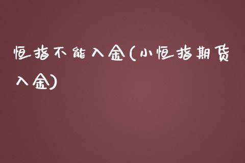 恒指不能入金(小恒指期货入金)_https://www.yunyouns.com_股指期货_第1张