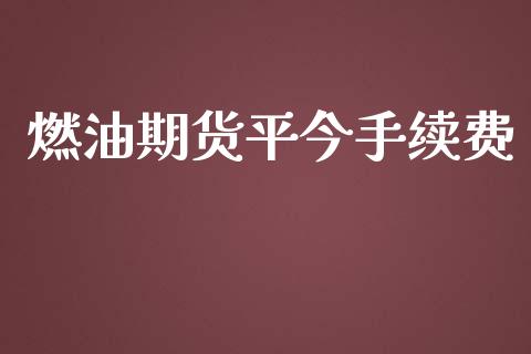 燃油期货平今手续费_https://www.yunyouns.com_股指期货_第1张