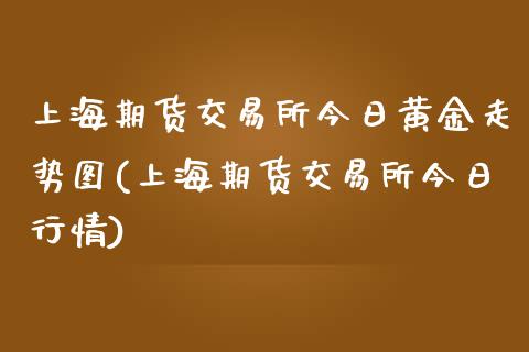 上海期货交易所今日黄金走势图(上海期货交易所今日行情)_https://www.yunyouns.com_期货直播_第1张