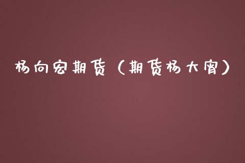 杨向宏期货（期货杨大宵）_https://www.yunyouns.com_期货行情_第1张