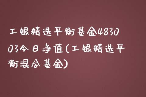 工银精选平衡基金483003今日净值(工银精选平衡混合基金)_https://www.yunyouns.com_股指期货_第1张