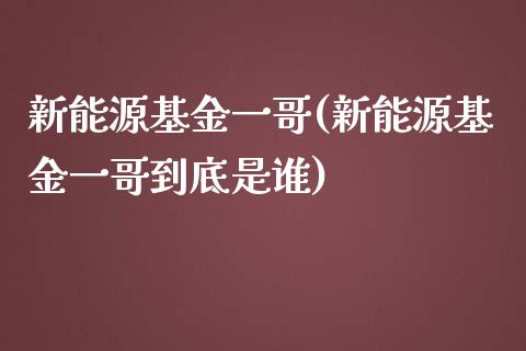 新能源基金一哥(新能源基金一哥到底是谁)_https://www.yunyouns.com_恒生指数_第1张