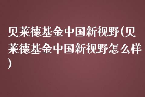 贝莱德基金中国新视野(贝莱德基金中国新视野怎么样)_https://www.yunyouns.com_股指期货_第1张