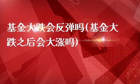 基金大跌会反弹吗(基金大跌之后会大涨吗)_https://www.yunyouns.com_期货行情_第1张