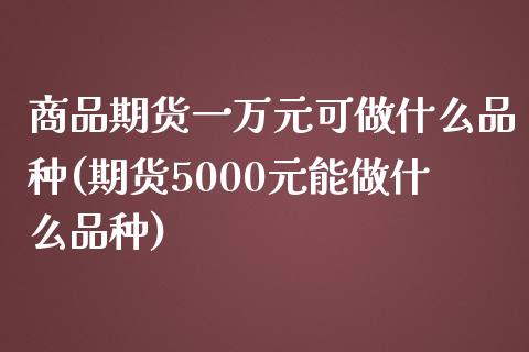 商品期货一万元可做什么品种(期货5000元能做什么品种)_https://www.yunyouns.com_恒生指数_第1张