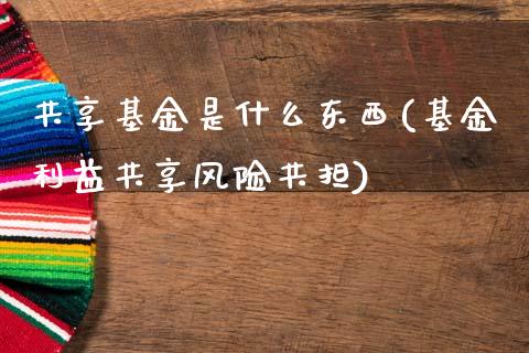 共享基金是什么东西(基金利益共享风险共担)_https://www.yunyouns.com_期货直播_第1张