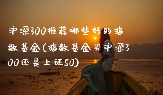 沪深300推荐哪些好的指数基金(指数基金买沪深300还是上证50)_https://www.yunyouns.com_股指期货_第1张