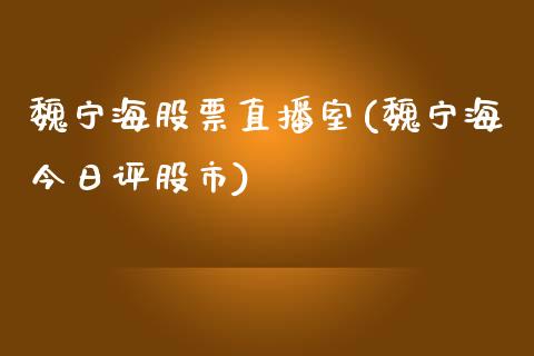 魏宁海股票直播室(魏宁海今日评股市)_https://www.yunyouns.com_恒生指数_第1张