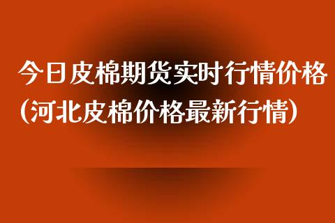 今日皮棉期货实时行情价格(河北皮棉价格最新行情)_https://www.yunyouns.com_股指期货_第1张