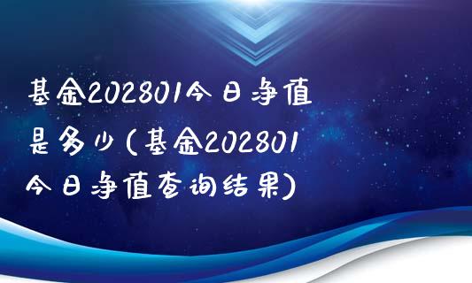 基金202801今日净值是多少(基金202801今日净值查询结果)_https://www.yunyouns.com_股指期货_第1张